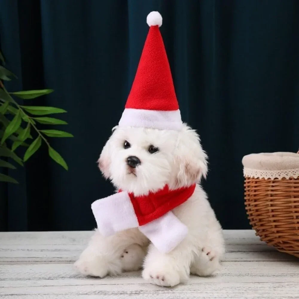 Pet Santa Hat with Scarf – Christmas Costume for Cats, Small Dogs, Rabbit, Red